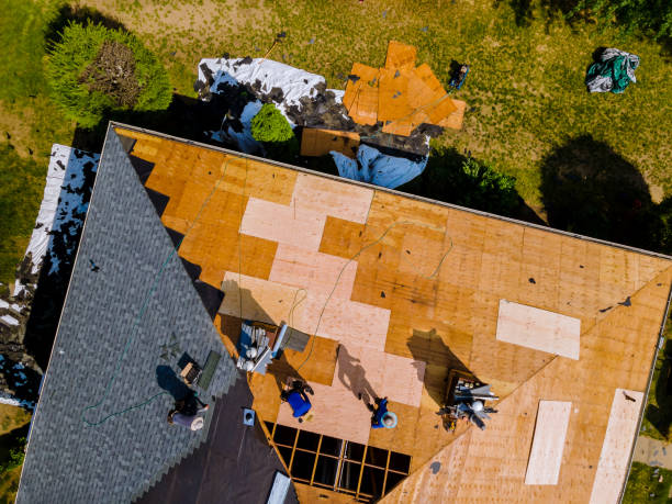 Best Metal Roofing Contractor  in Silverton, OR